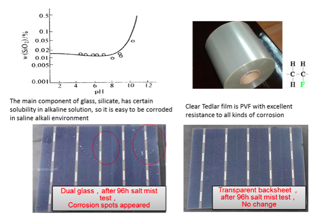Figure 6 Anti- saline alkali comparison of transparent backsheet and glass