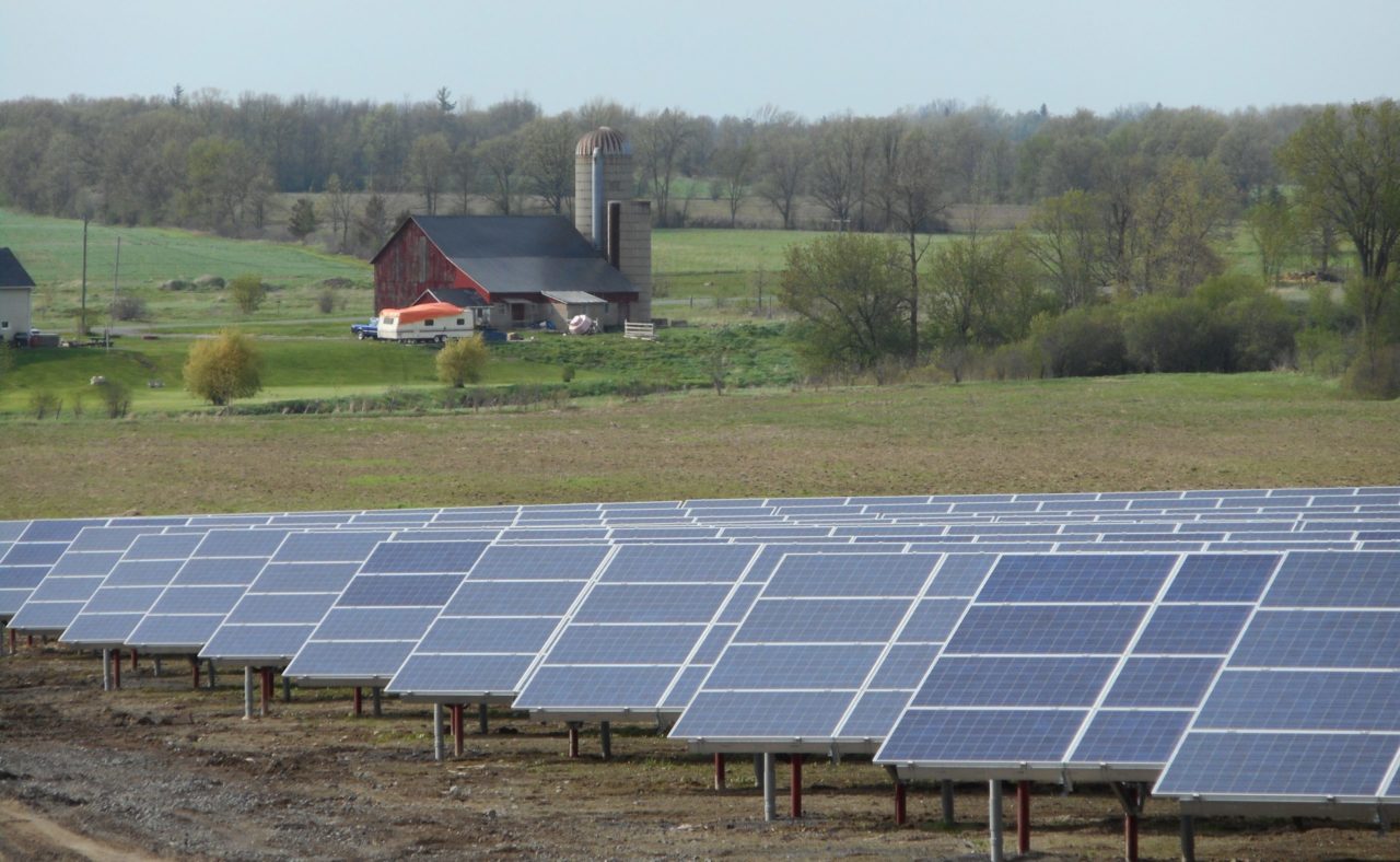 BluEarth's Little Creek Solar farm. Source: BluEarth