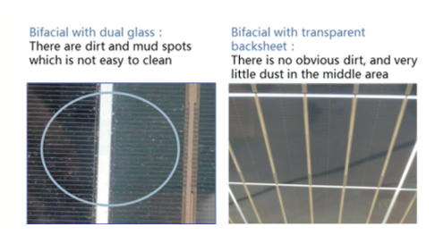 Figure 31: The dirt accumulation comparison of rear side glass/transparent backsheet