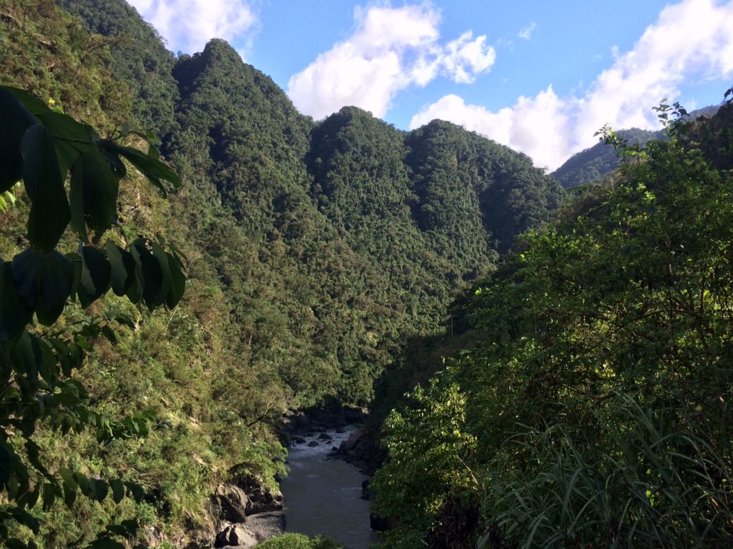 Wulai District: around two thirds of Taiwan's land space is mountainous forests and national parks. Credit: Tom Kenning