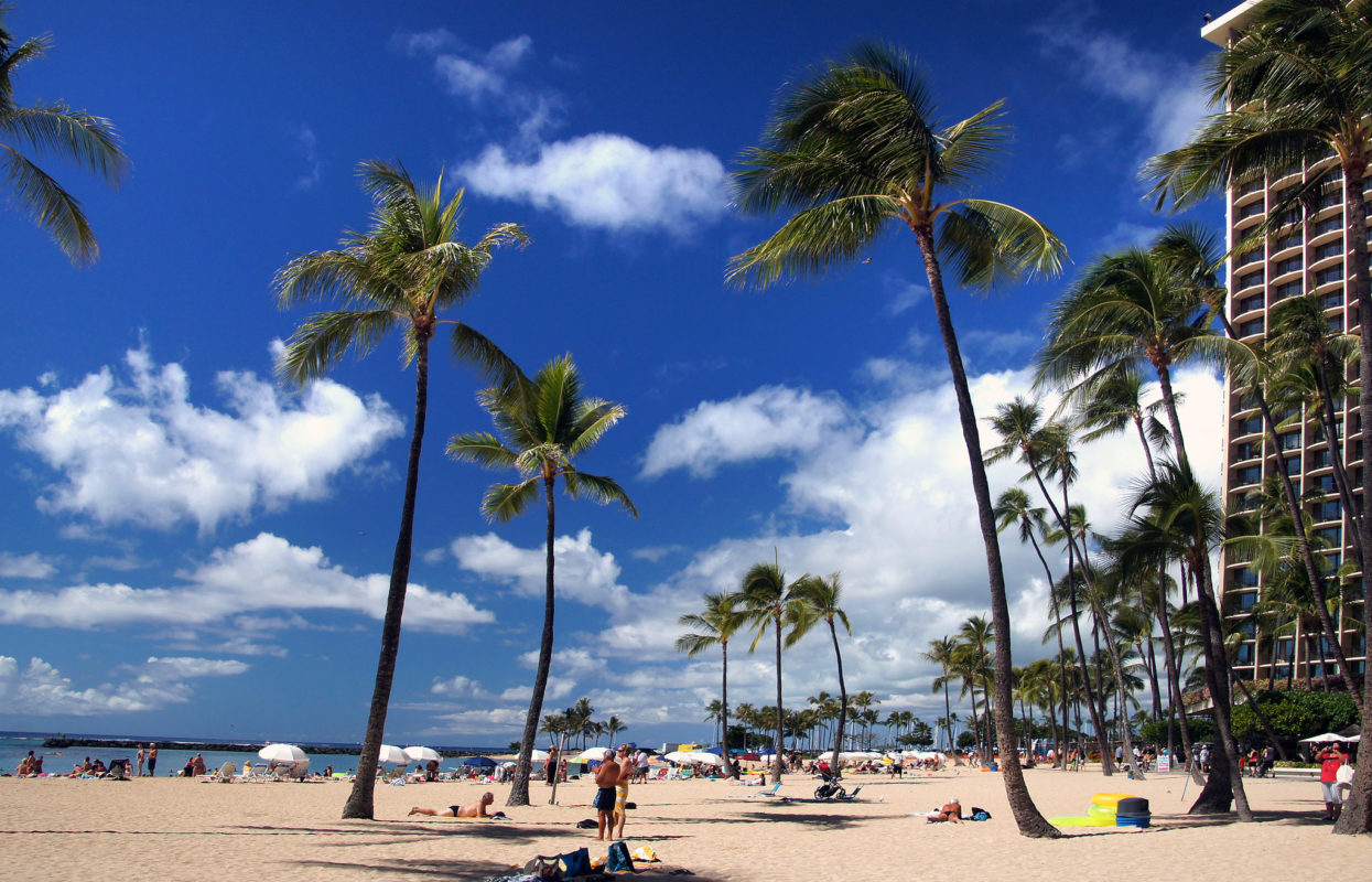 The three installations at Kawailoa, Waipi‘o and Mililani have a combined generation capacity of 110MW and will contribute towards Hawaii’s goal of 100% clean, renewable energy for electricity by 2045. Image: Bernard Spragg / Flickr 