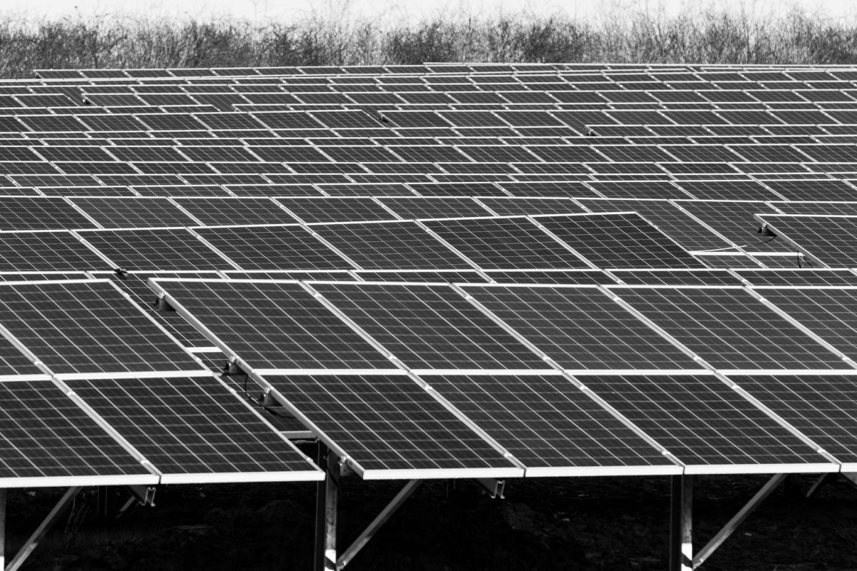 Solar panels started to be installed at the Dubai Farm back in 2016. Image: Gerry Machen / Flickr 