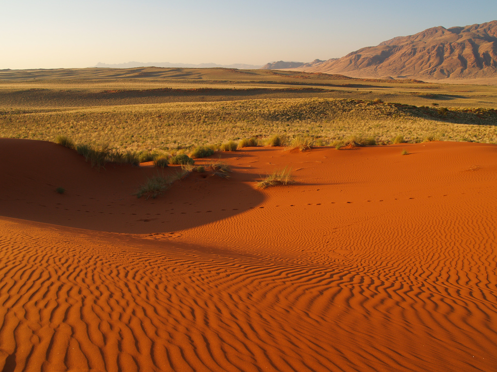 The 45.5MW project will be develop on 100 hectares of land and will help meet 3% of the country’s total energy needs. Image: Rui Ornelas / Flickr