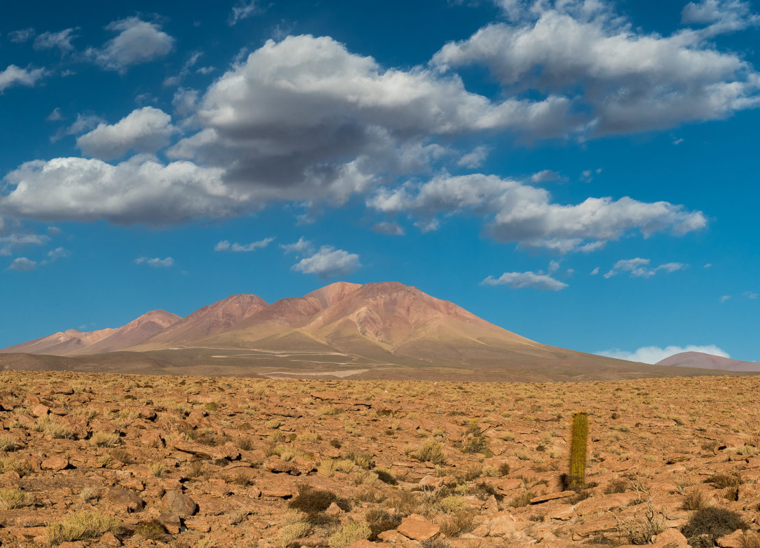 Valhalla's development of 561MW PV and 300MW of energy storage in Chile's Atacama should reach commercial operation in 2025 (Credit: Flickr / Alessandro Caproni)