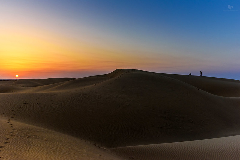 Sunset in the Thar Desert near Jaisalmer, a district in the far west of Rajasthan. Credit: Flickr/ Navaneeth Kishur