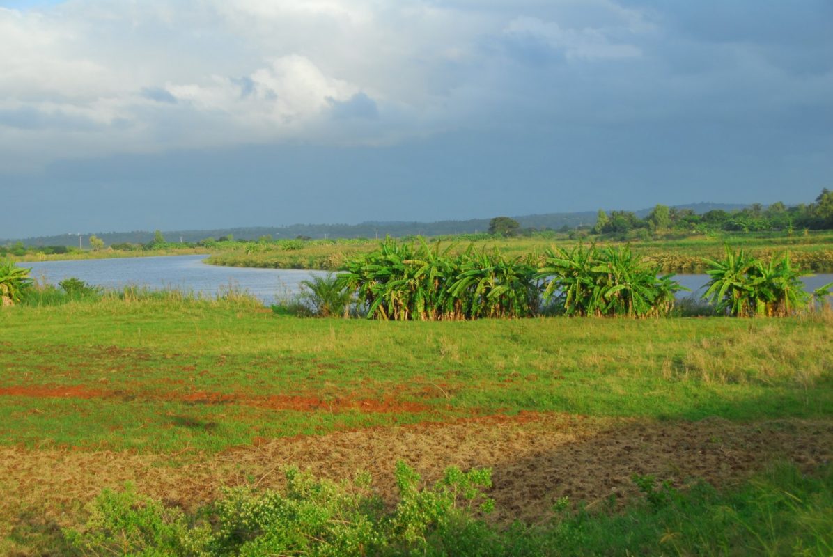 Installed PV capacity stood below 20MW in Mozambique towards the end of 2018, according to IRENA (Credit: Flickr / F Mira)