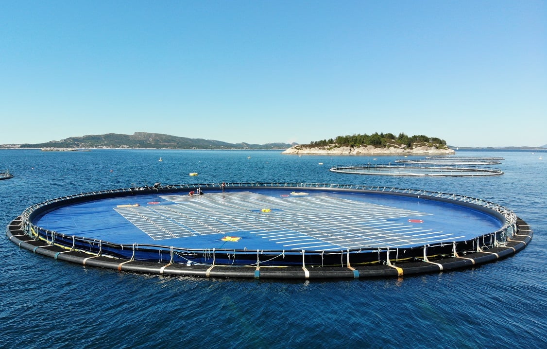 A previous floating solar test system installed by Ocean Sun off the coast of Norway. Image: Ocean Sun.