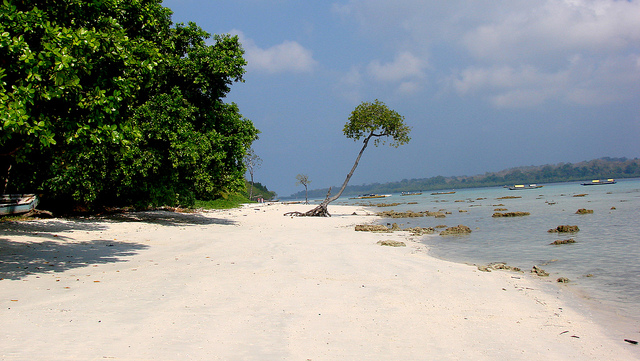 The capacity at Chidiyatapu in South Andaman, the most populous of the Andaman Islands, will be awarded via a reverse auction. flickr: Sankara Subramanian