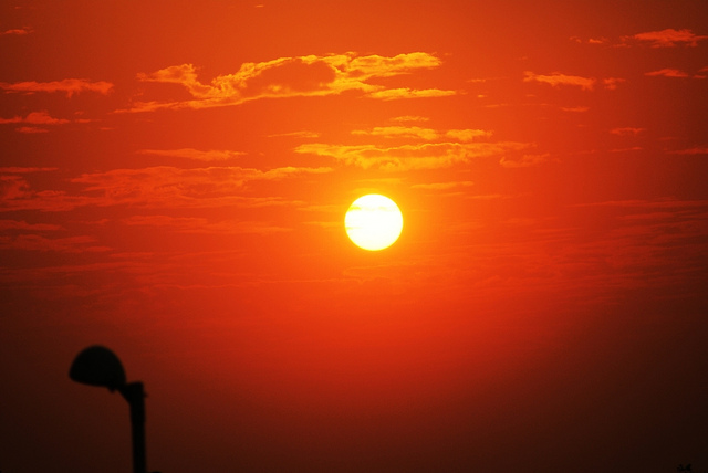 This will be the largest solar park in the world at Kurnool in the Indian state of Andhra Pradesh. Flickr: Pranav