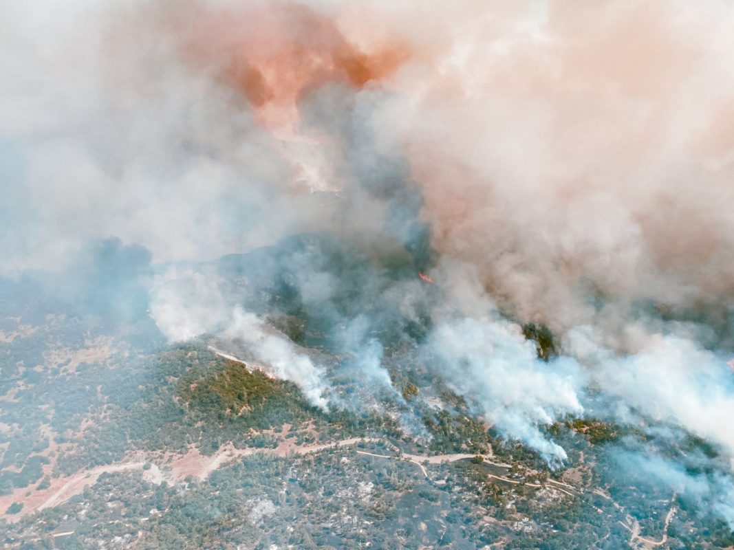 California's record-breaking heatwave has caused wildfires and prompted numerous warnings over energy demand. Image: Office of the Governor for California. 