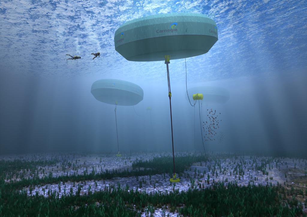With limited land available, wave energy generation supported by a reliable microgrid of battery storage and solar PV could be a better, cheaper and more sustainable way to power remote coastal or island communities long-term. Credit: Carnegie Wave Energy