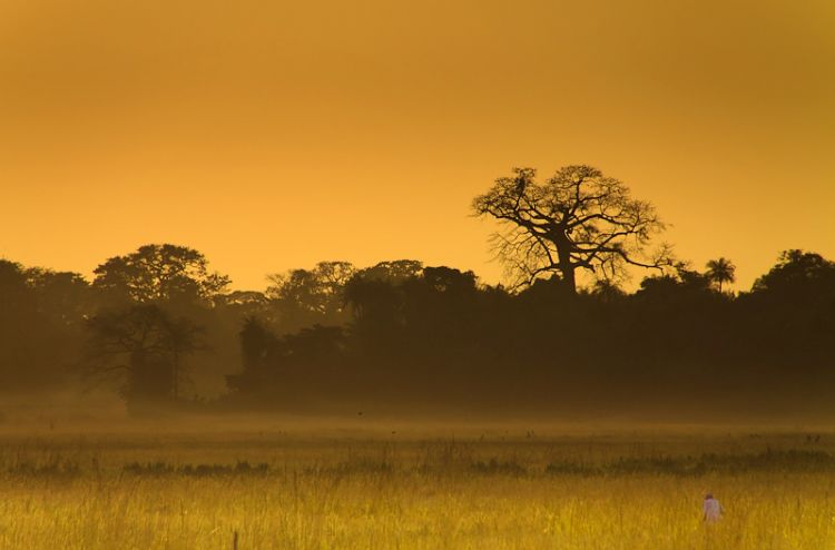 This project marks Enel Green Power's first foray into Zambia's renewable energy market. Source: Flickr/Angel Hernansaez