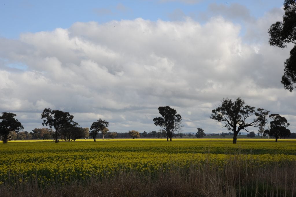 RV was awarded support of a 85MW project in the Victorian Renewable Energy 2017 Reverse Auction Scheme. Image: FRV