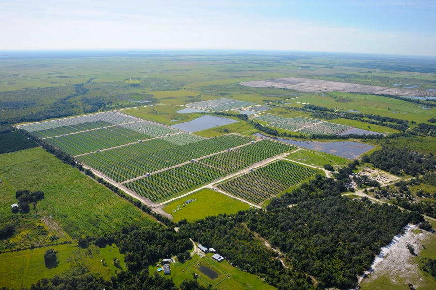 Each of the eight new solar plants will have a capacity of 74.5MW. Image: FPL