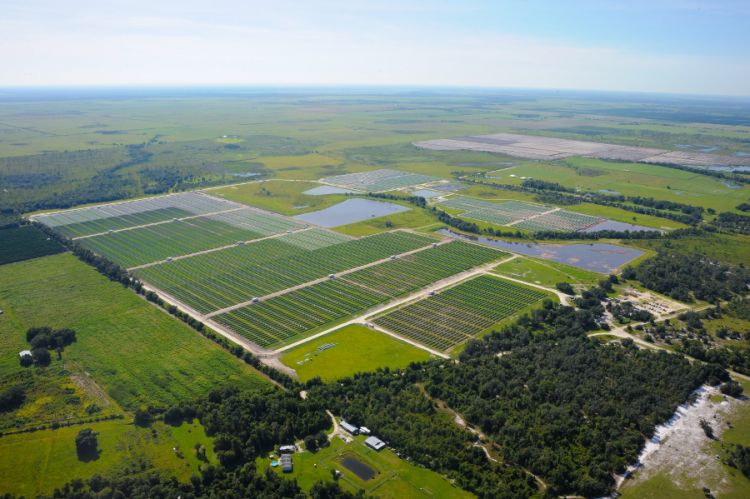 FPL, top Floridian utility, has plans to develop 2.1GW of solar by 2023, with solar outpacing coal and oil combined in its overall energy mix by 2020. Source: Doug Murray/Florida Power & Light
