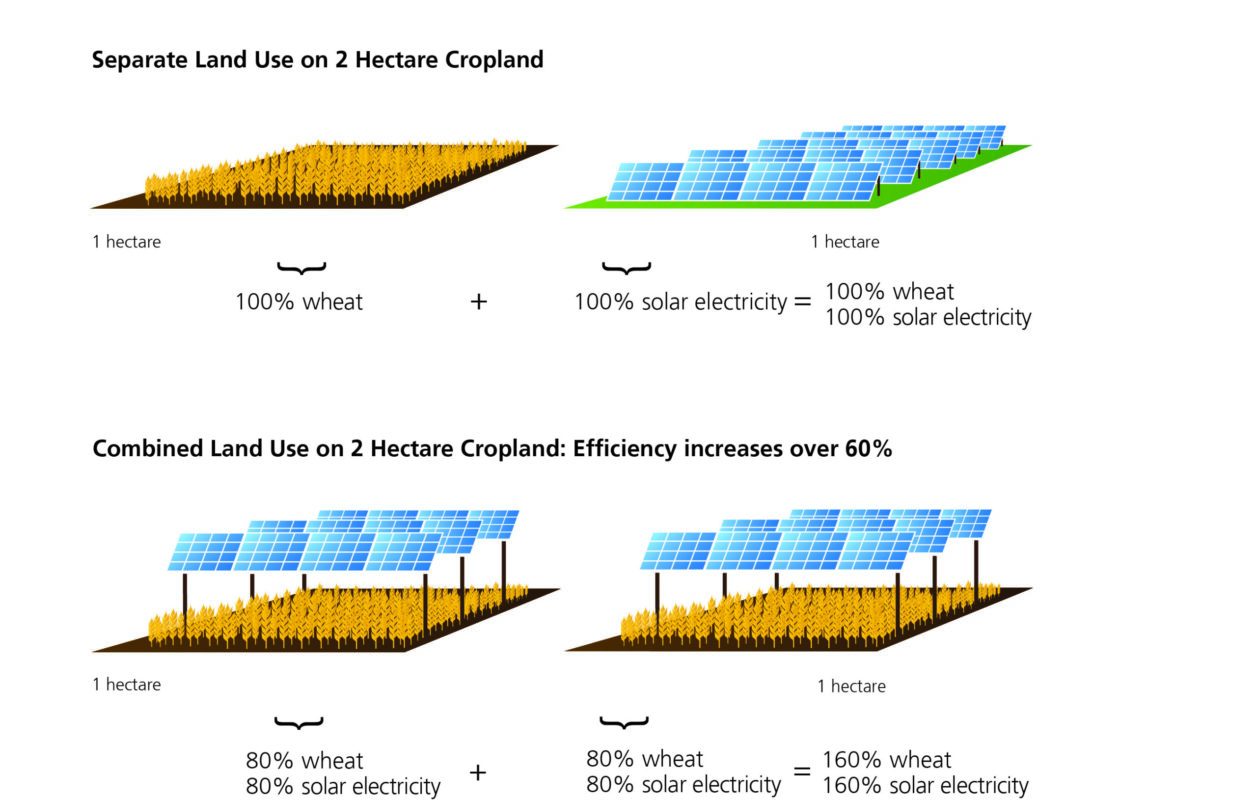 Fraunhofer ISE also noted that the 720 bifacial solar modules produced 1266 kilowatt-hours of electricity per installed kilowatt, one third more than the average value of 950 kWh/kW in Germany. Image: Fraunhofer ISE