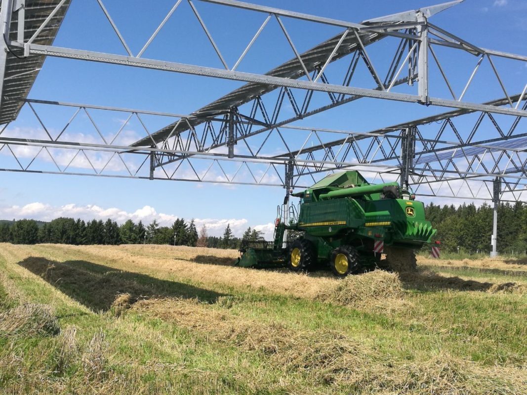 A year-long study at the pilot project, which uses bifacial solar modules to provide as much sunlight to the crops by limiting the shading impact on crop growth, has provided encouraging results. Image: Fraunhofer ISE