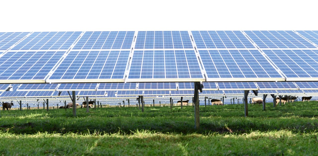 Two solar parks in the UK were sold that had a total output of approximately 75MW. Image: BayWa r.e