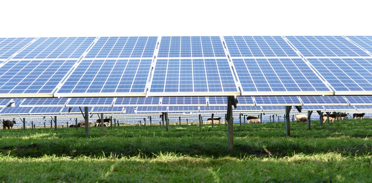 The initiative will support the development of PV solutions in portfolios of distributed and utility scale solar. Image: Image: BayWa r.e.