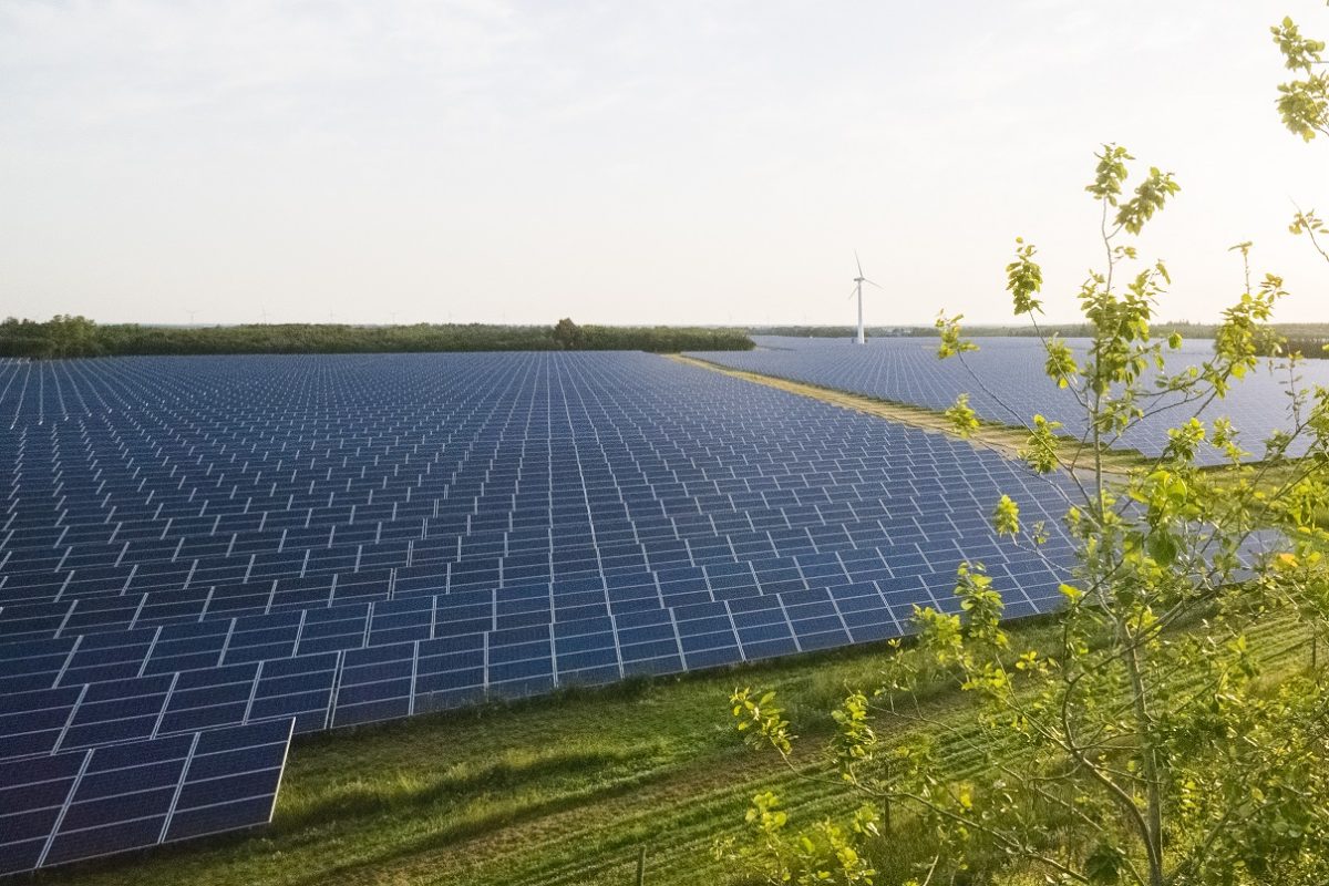 www.pv-tech.org