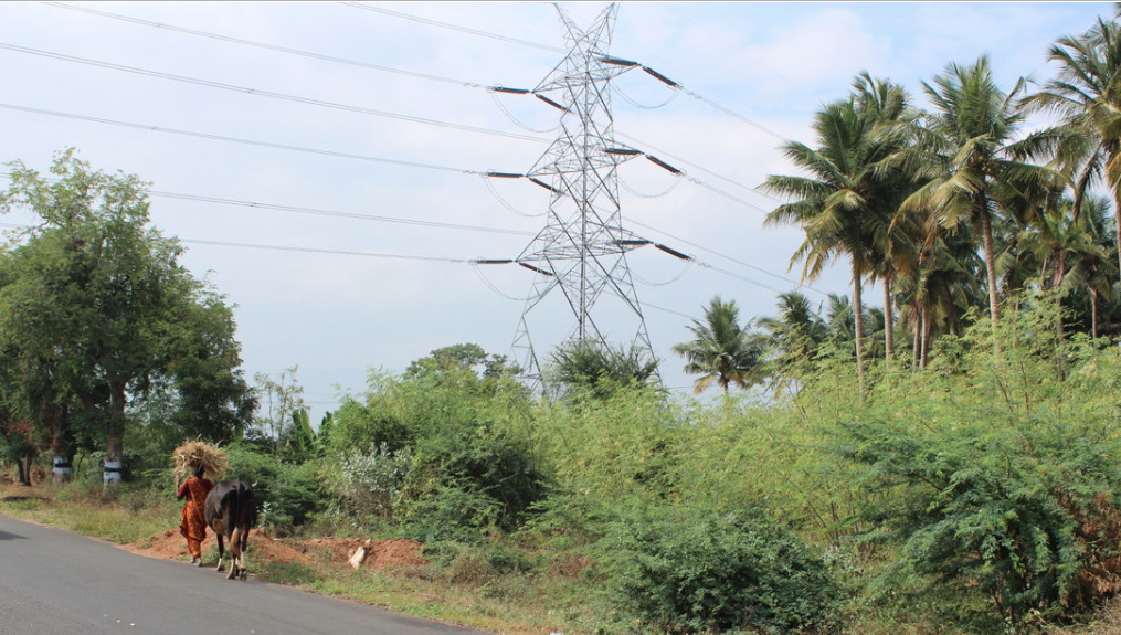 A transmission line in the South Indian state of Tamil Nadu. Credit: Tom Kenning