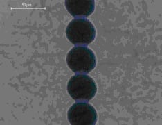 LCO of a dielectric layer for an IBC-cell