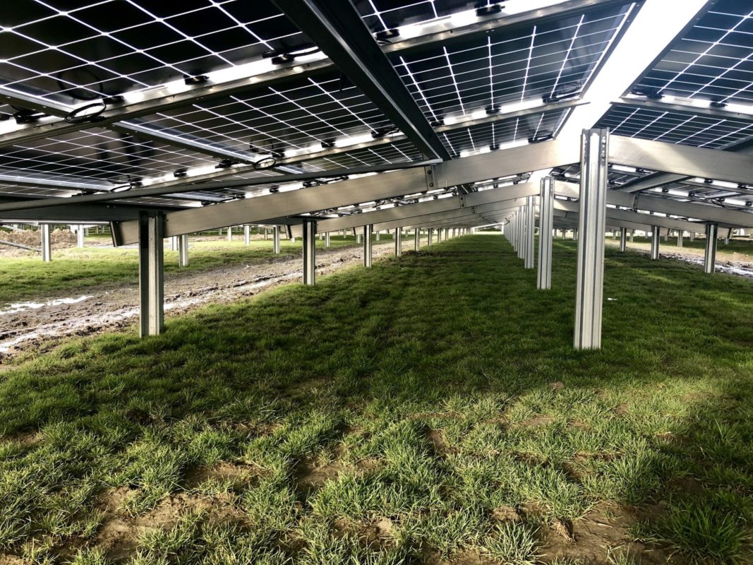 The Zonnepark Rilland PV project is claimed to be the largest utility-scale system built with N-type bifacial solar modules in Europe to date, utilising 40,000 modules in a novel canted (East-West) orientated, low-level mounting system. Image: Jolywood
