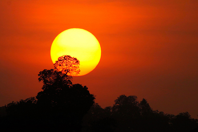 Out of the seven taluks with winning bids of less than INR3/kWh, only three have off-takers with credit rating A. Flickr: Vinoth Chandar