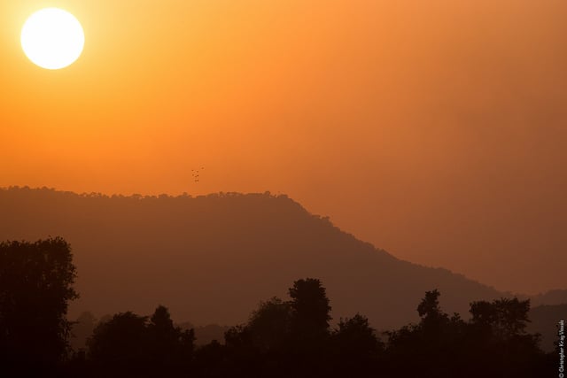 The tender has been described as a new model for other solar procurements across India. Flickr: Christopher Kray