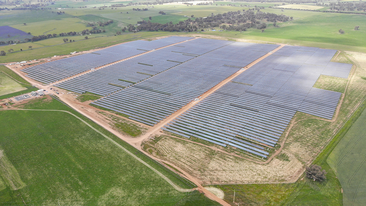 VivoPower subsidiary J.A. Martin's completed 39MWdc Molong Solar Farm. Image: VivoPower.