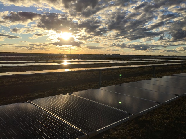 The Moree solar plant. Credit: CEC