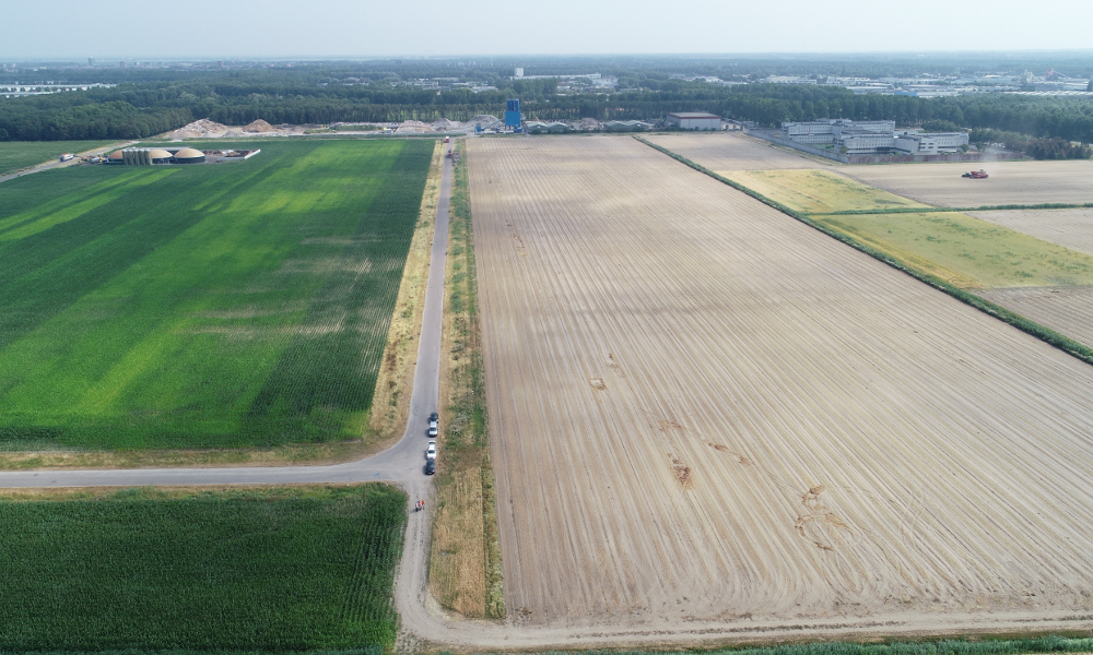 The EPC noted that the Almere solar park would be situated on soil that requires high ramming depth for the mounting system. Image PFALZSOLAR