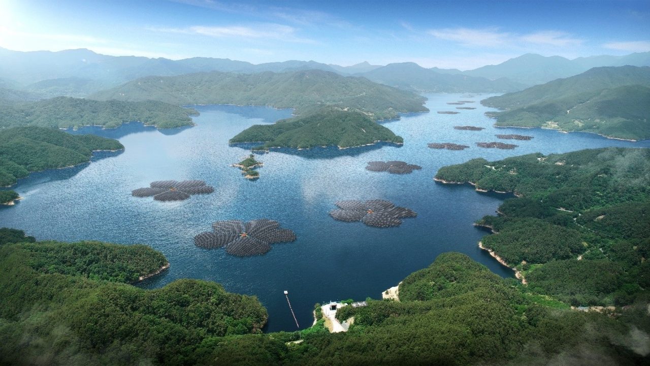 The Hapcheon Dam floating solar project will feature a design inspired by the plum blossom, the symbolic flower of the local area. Image: Q CELLS. 