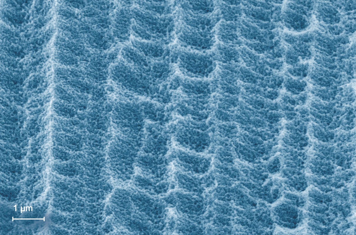 RENA Technologies highlighted that its InTex-E process allows for (weighted) reflection values well below the typical level of RW~26-28% for an acidic texture to values below RW<20%, indicating that its process could meet P-type multi specification requirements. Image: RENA Technologies