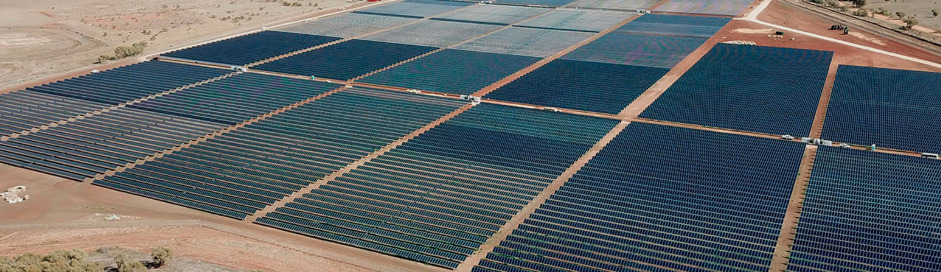 EnergyAustralia will take 70% of the solar farm’s energy output. The remainder will be sold directly to the market. Credit: Neoen