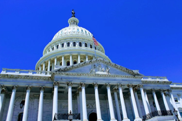 The US Capitol building in Washington, D.C. Source: aviation_traveler1011, Pixabay