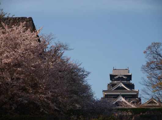 Japan today also released new feed-in tariff (FiT) rates for solar PV. Credit: Flickr/Gaku