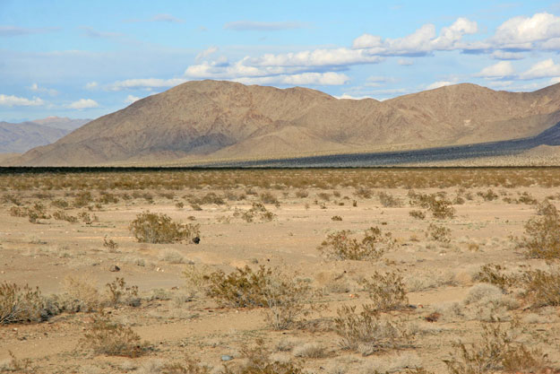 The project has been subject to a three year environmental analysis by the BLM. Credit: Bechtel
