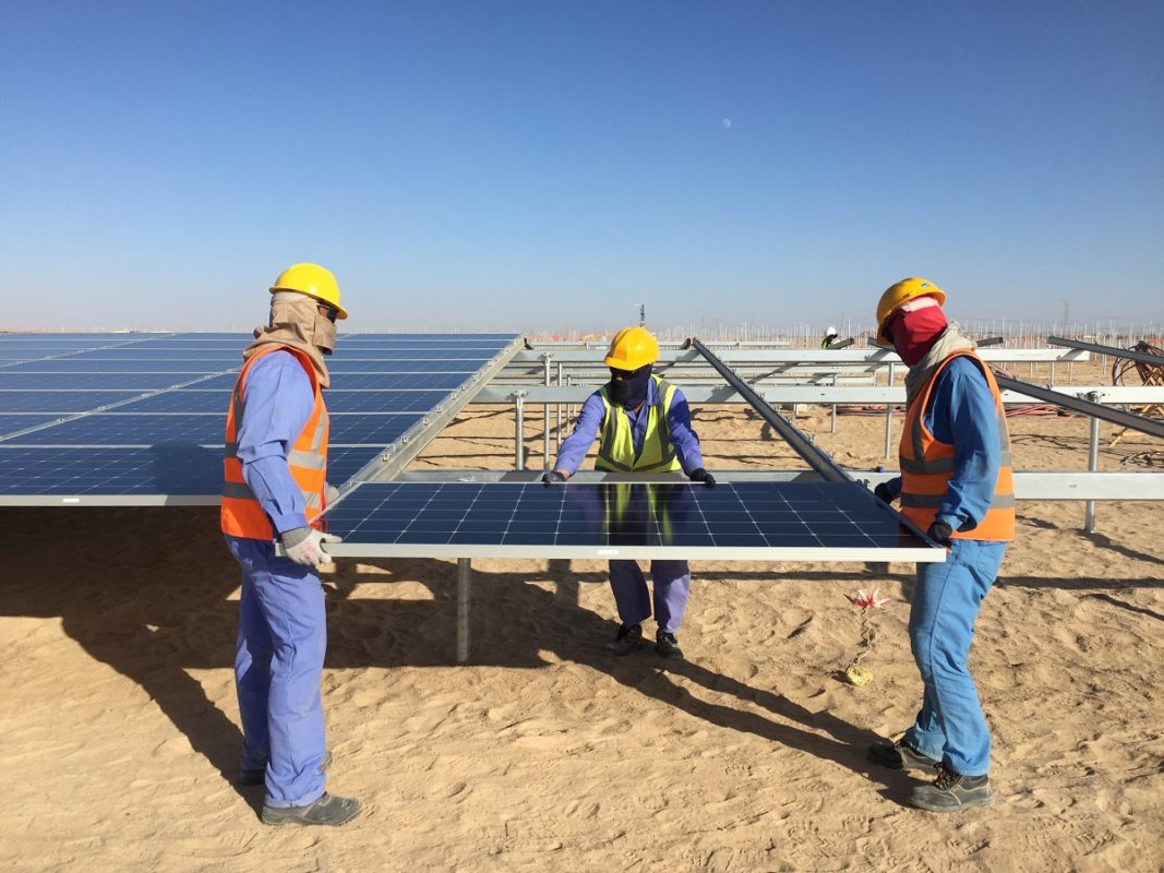 EPC contractors have a key role to play in ensuring the long-term health of PV power plants Credit: Sterling & Wilson
