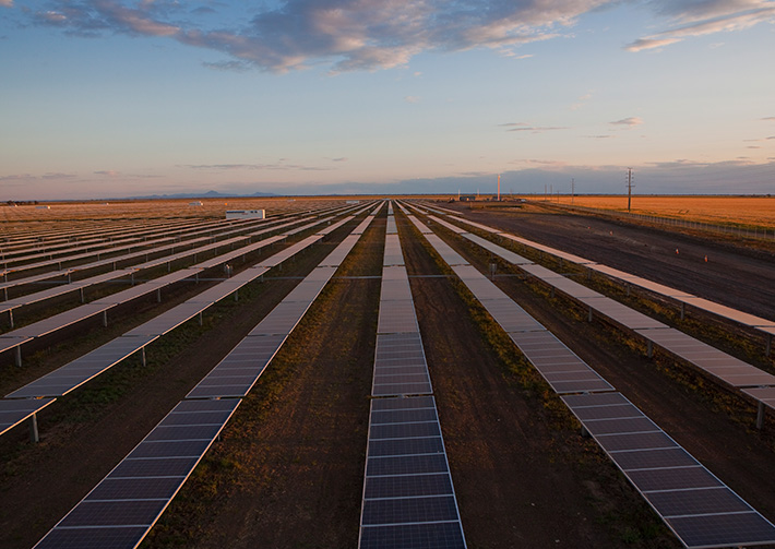 The Bomen solar project will create over 200 construction jobs over the next year, and will power more than 30,000 homes once completed. Image: NSW Government