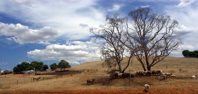 South Australia has long been a renewables leader. Source: Keith Miller, Flickr