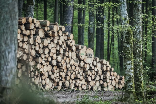 The Lyonsdale biomass-to-electricity plant once produced an average of 162,000 MWh per year using biomass material from logging operations and local sawmills. Credit: Flickr/Greenpeace Polska