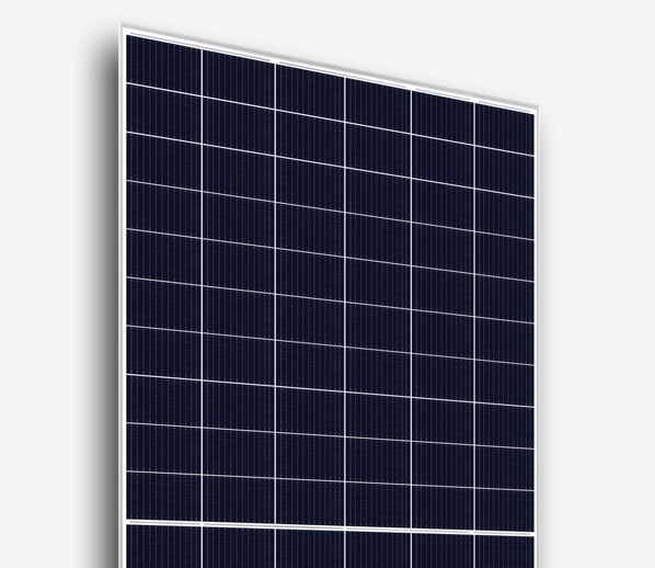 Risen's Titan range of bifacial mono PERC modules. Image: Risen.