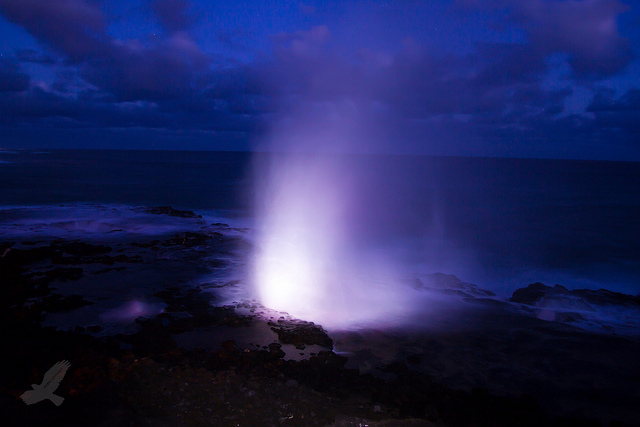 The Sprouting Horn in Kauai Island. Source: Flickr/Christian Arballo