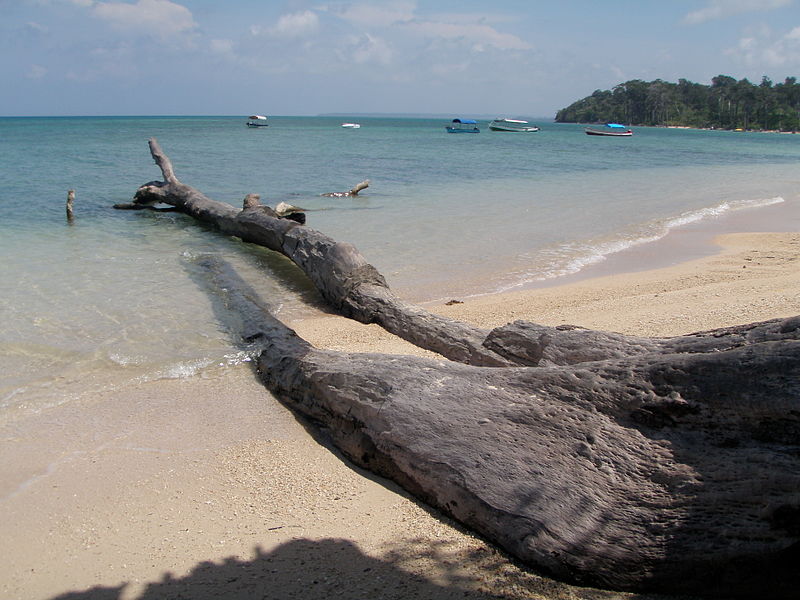 Andaman Islands, India. Image: wikimedia user Biswarup Ganguly