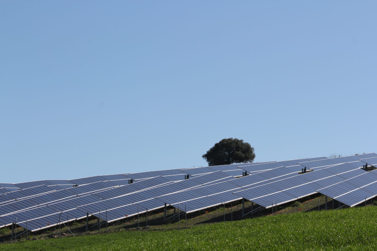 Solar project developer X-Elio was awarded 315MW of PV capacity in the auction. Image: 315MW. 