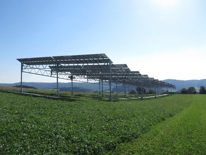 An image of a previous Fraunhofer ISE pilot plant that monitored the yield of crops grown under PV modules. Image: Fraunhofer ISE. 