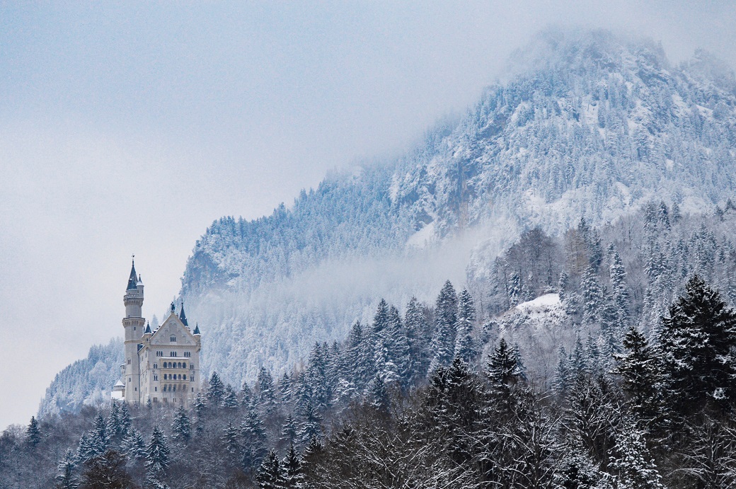 Bavarian solar projects dominated the German tender as they have in prior auctions, reaping 75% of all contracts on offer. Image credit: Caleb Stokes / Unsplash