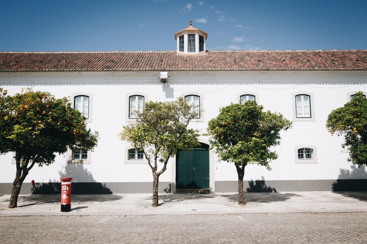 This year's first solar auction will exclusively target projects in the southern regions of Alentejo and Algarve, the state secretary said. Image credit: Claudio Schwarz / @purzlbaum on Unsplash