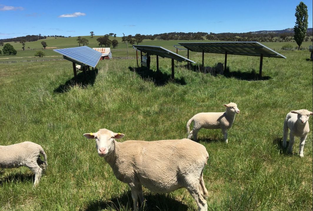 Construction of Walcha's PV and wind elements is due to commence in 2020 and lead to power production by 2022 (Credit: Walcha Energy)